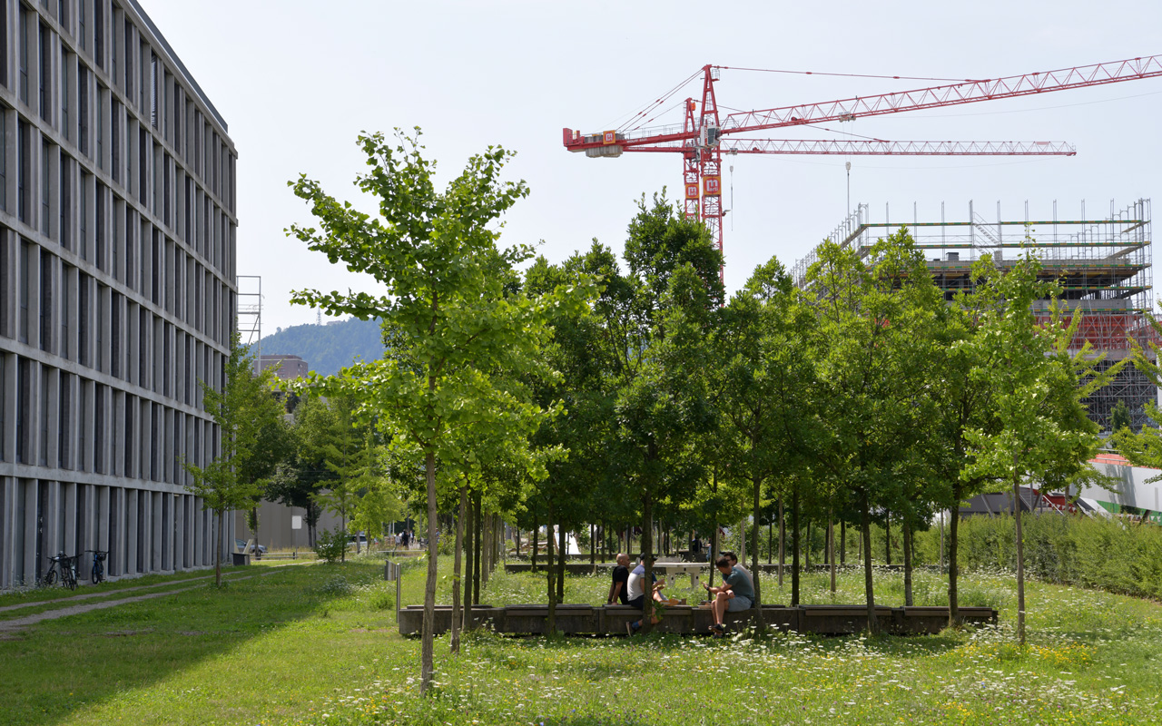 Pour une protection du climat ambitieuse et efficace : les villes réclament une plus grande marge de manœuvre