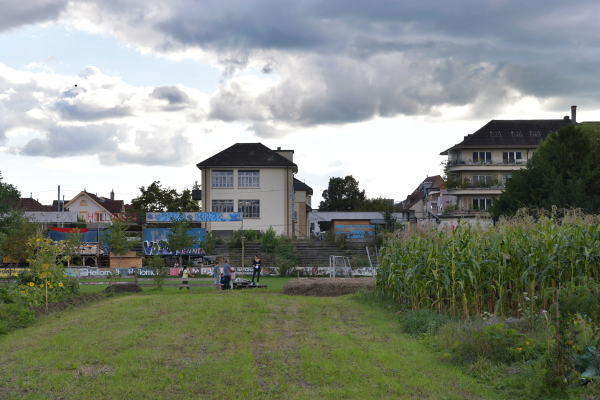 Statistiques des villes suisses 2025 : Agriculture urbaine